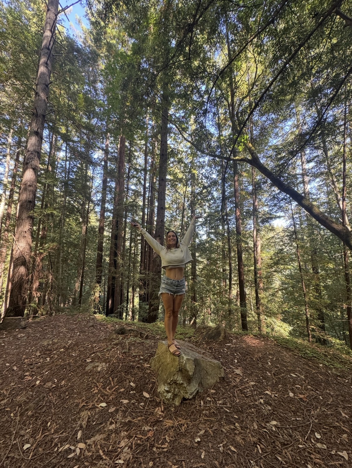 The Journey from Conditioning to Liberation